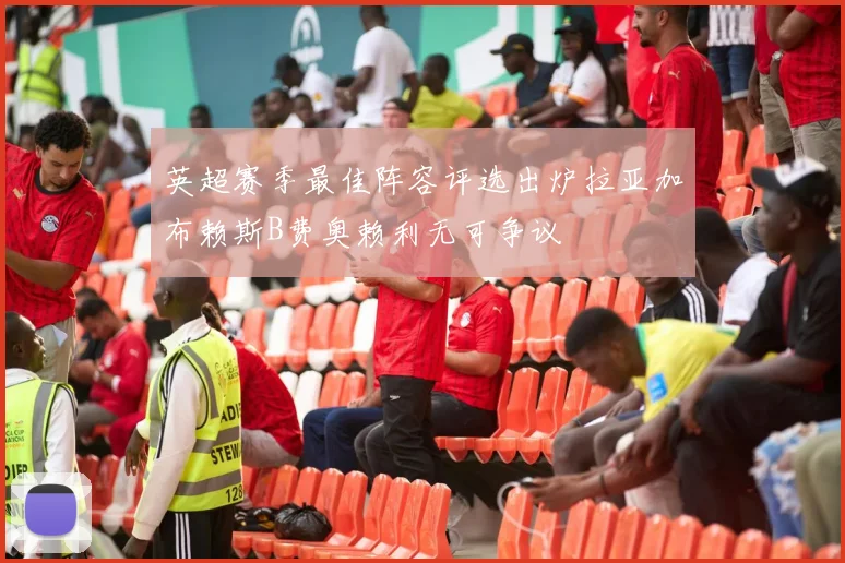 英超赛季最佳阵容评选出炉拉亚加布赖斯B费奥赖利无可争议